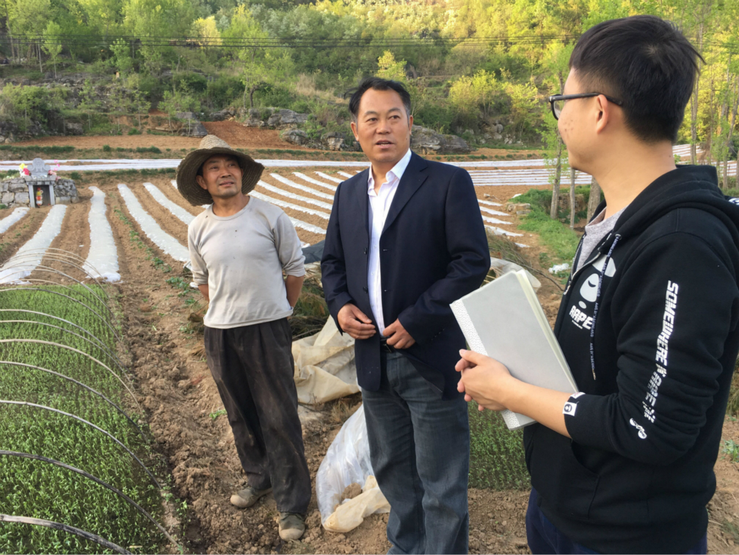 赌博网址大全