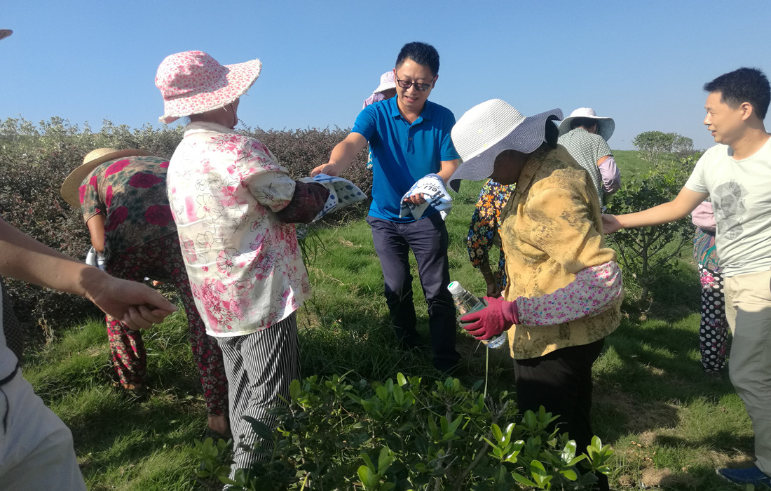 赌博网址大全