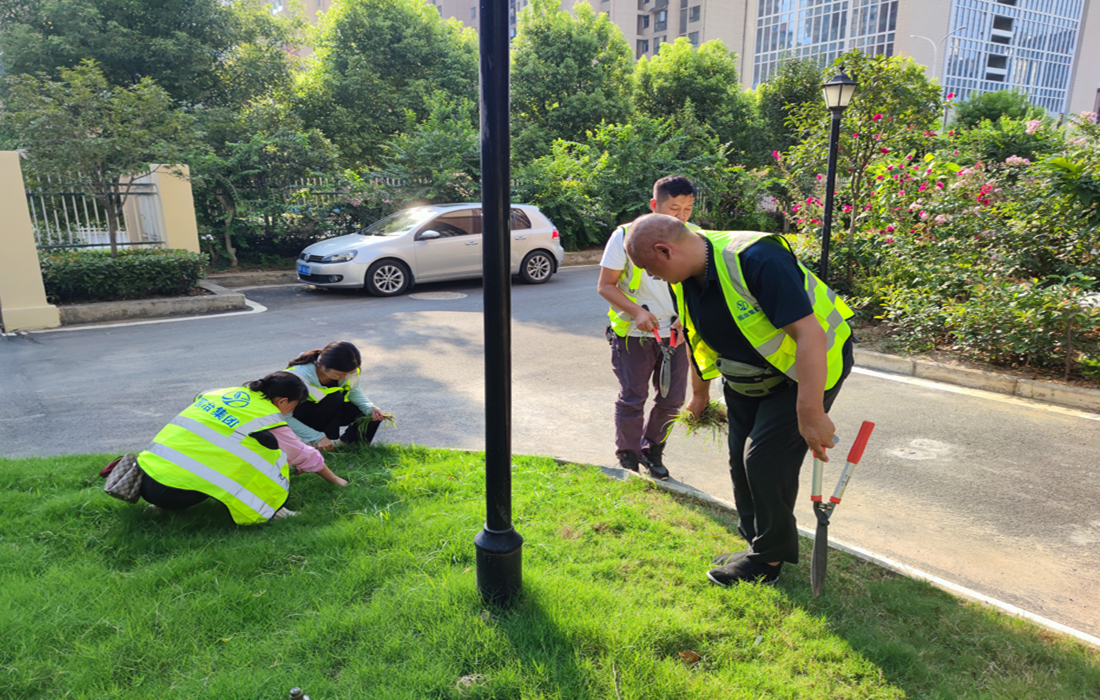 微信图片_202107300847411.jpg 微信图片_202107300847411.jpg